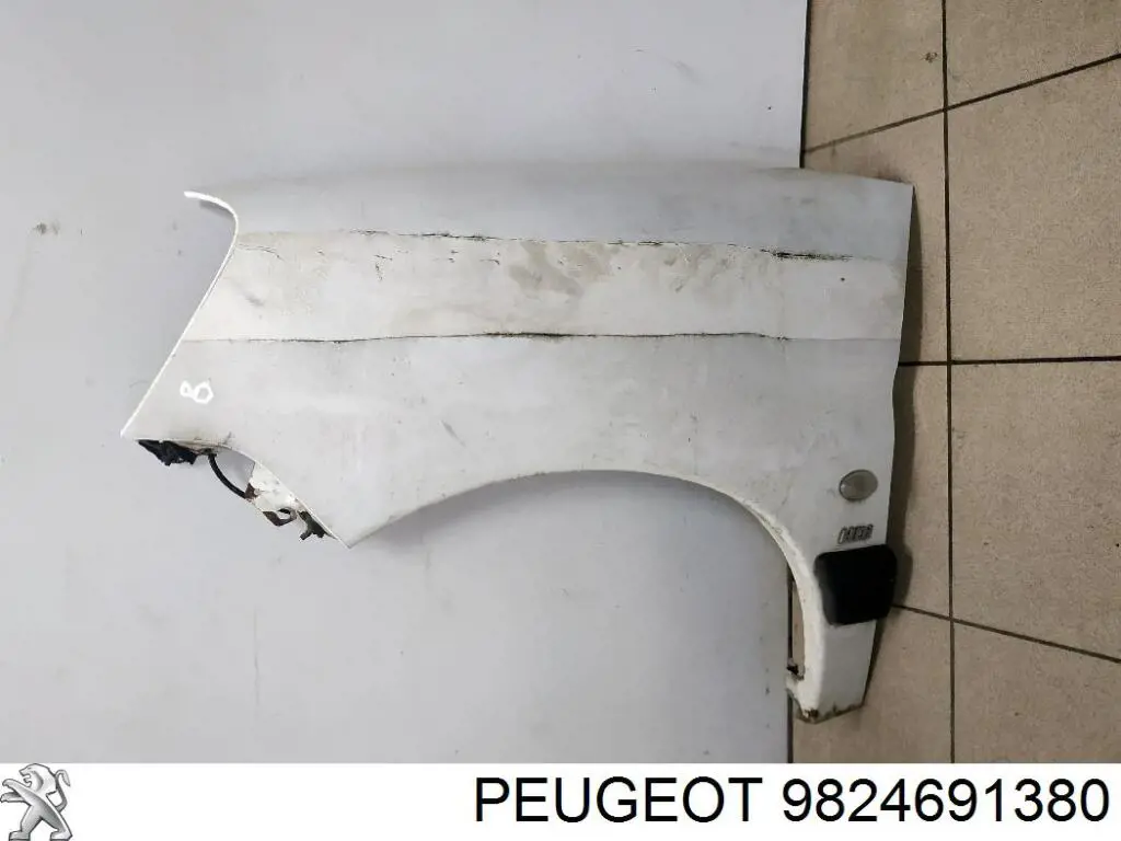 9824691380 Peugeot/Citroen крило переднє ліве