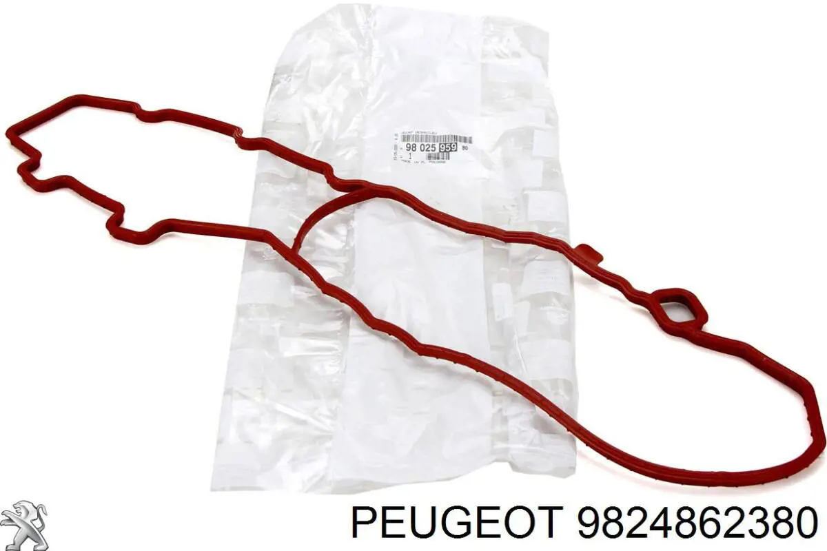 9824862380 Peugeot/Citroen 