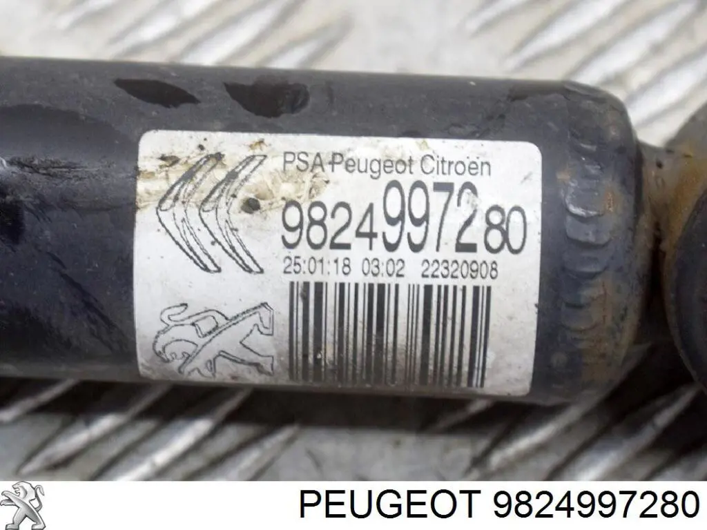 Купити 9824997280 Peugeot/Citroen 
