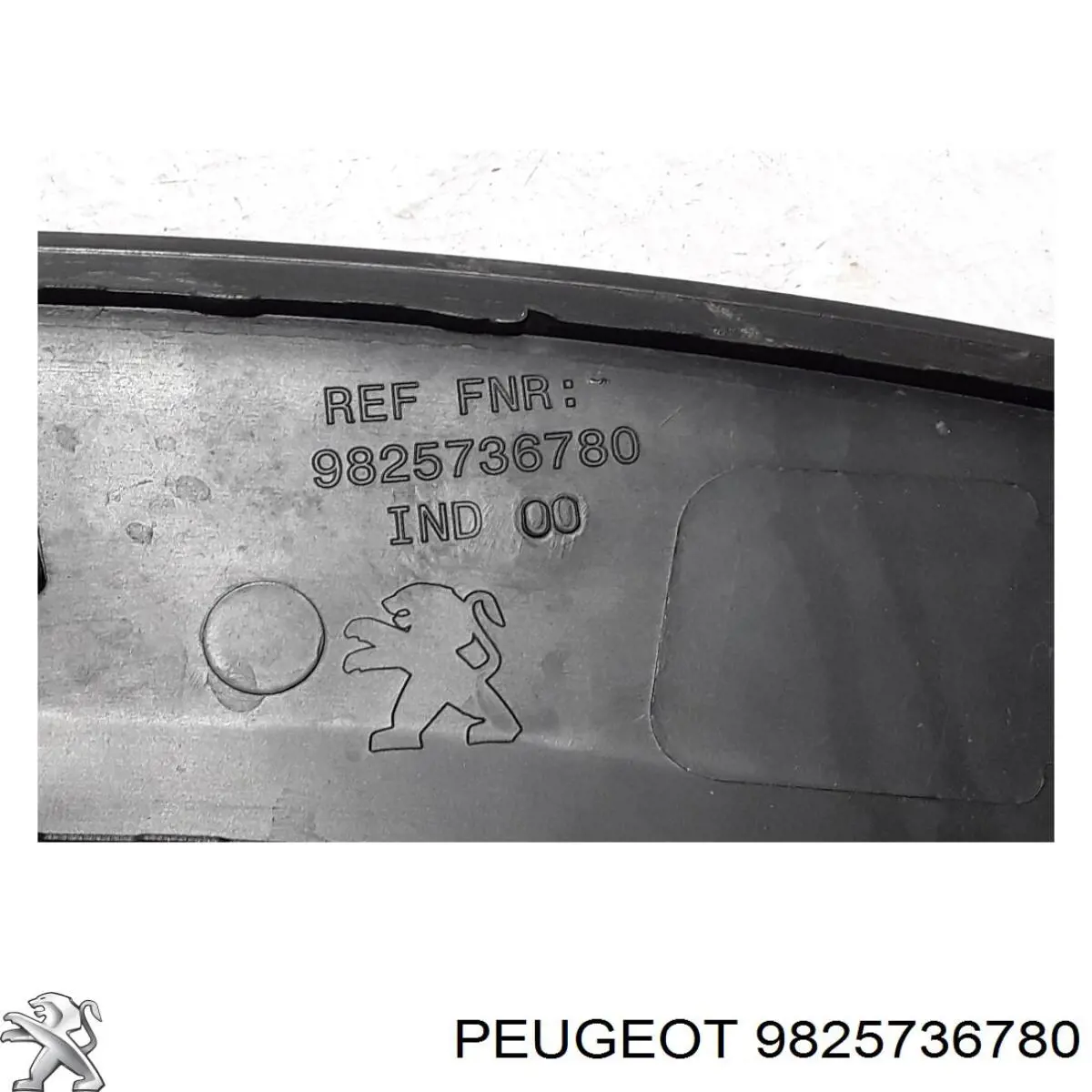 Купити 9825736780 Peugeot/Citroen 