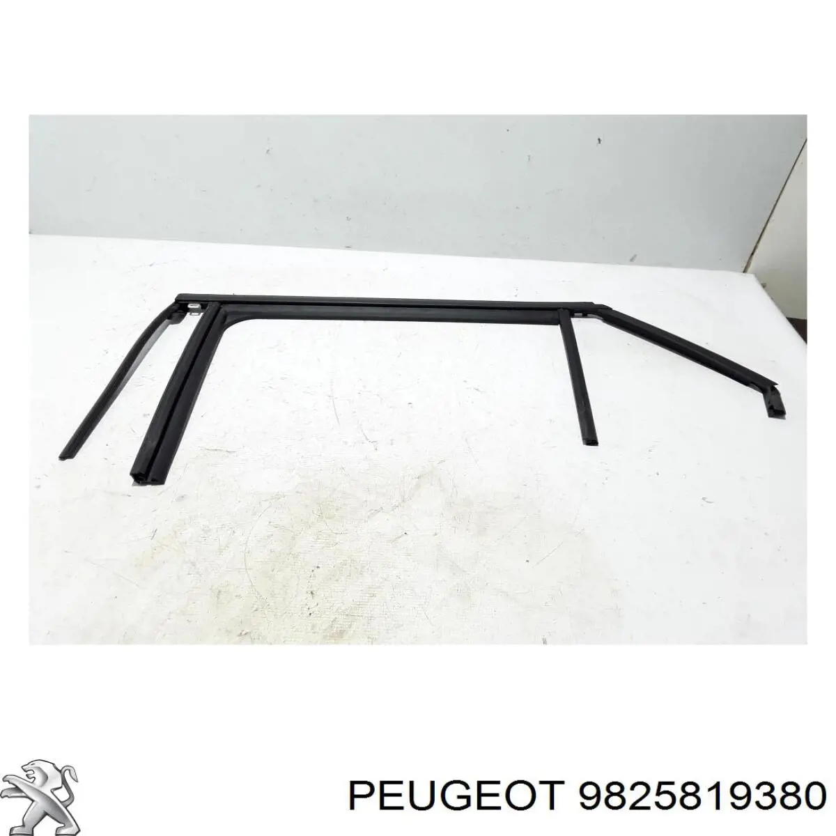 9825819380 Peugeot/Citroen 