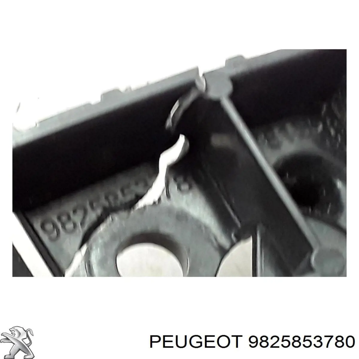 9825853780 Peugeot/Citroen 