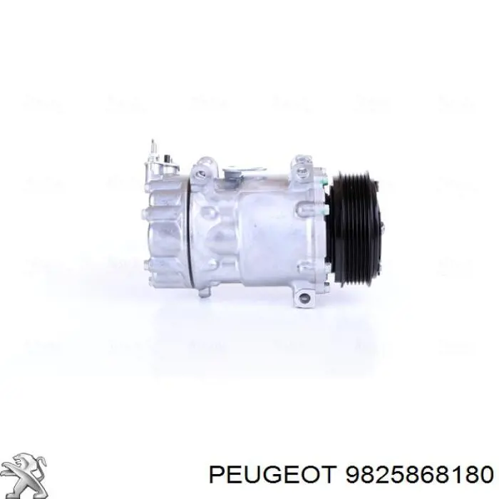 Купити 9825868180 Peugeot/Citroen Муфта компресора кондиціонера