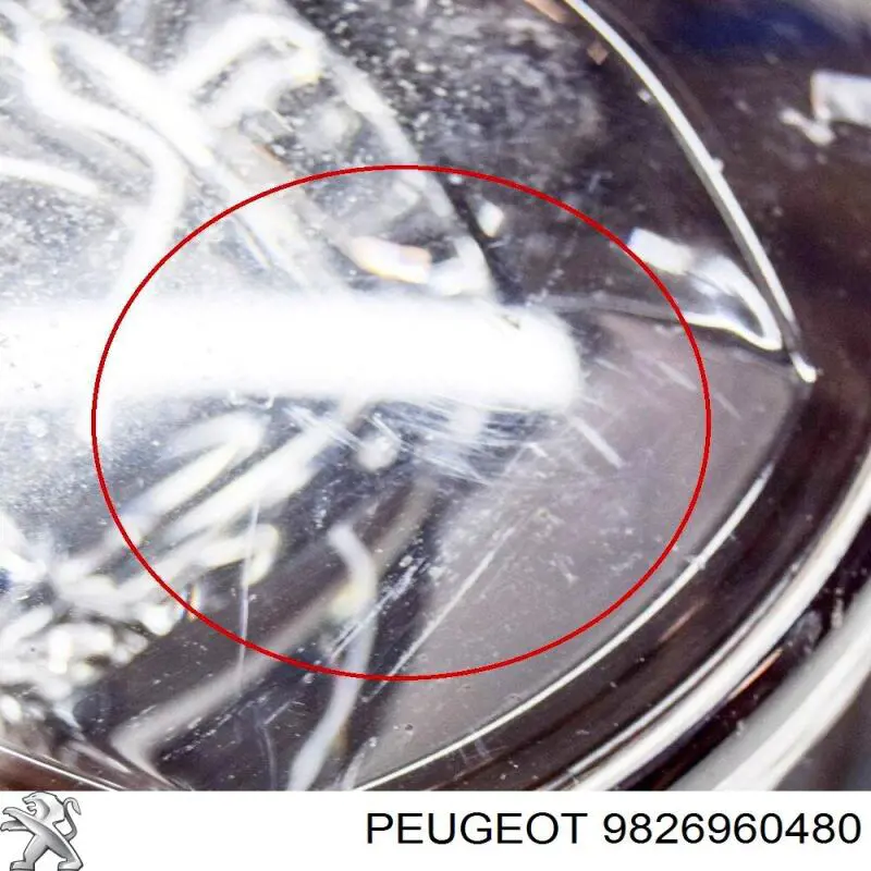 9826960480 Peugeot/Citroen Протитуманки, ліваі, права