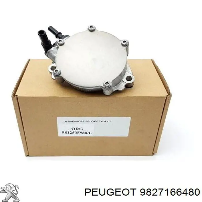 Купити 9827166480 Peugeot/Citroen Вакуумний насос