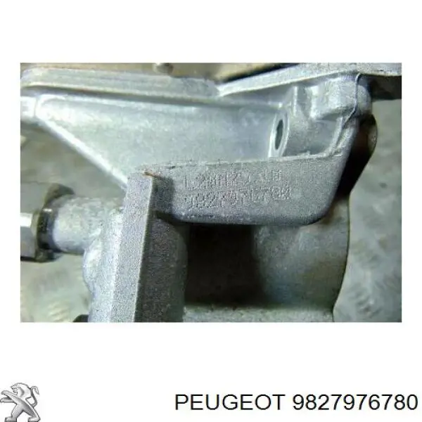  9827976780 Peugeot/Citroen