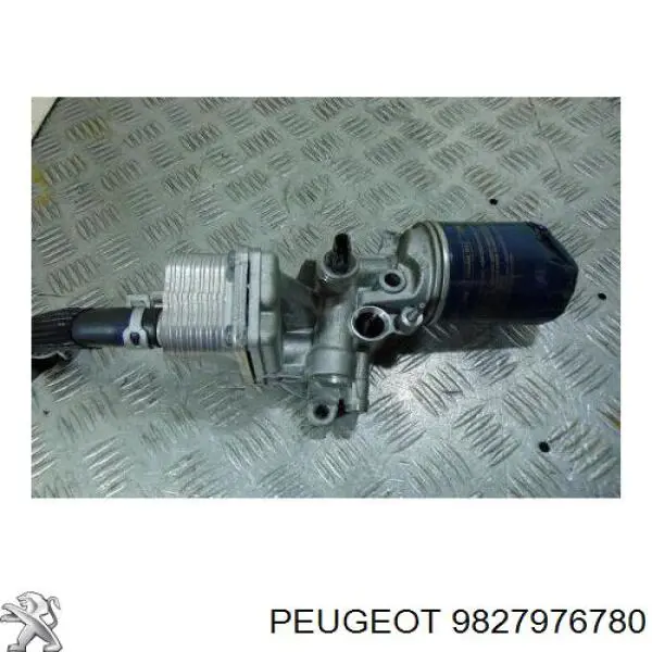 Купити 9827976780 Peugeot/Citroen 