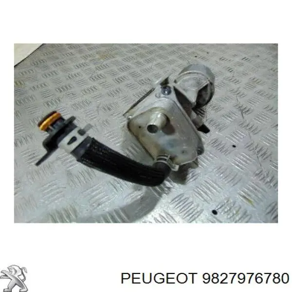 9827976780 Peugeot/Citroen 
