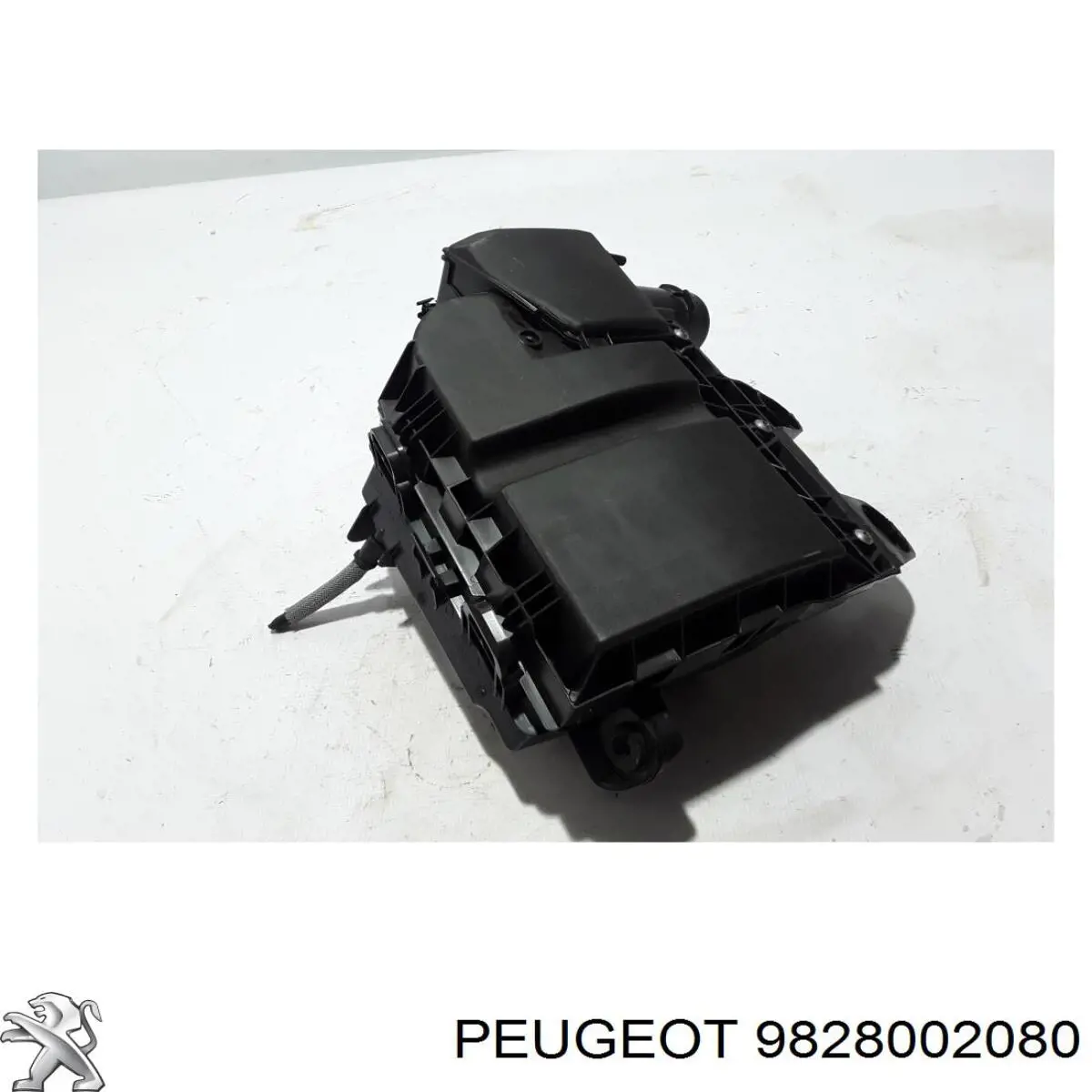9828002080 Peugeot/Citroen Коробка фільтра