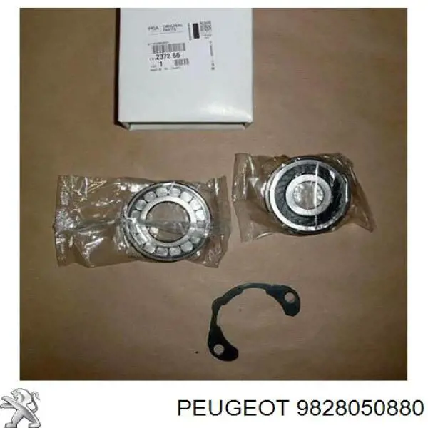 9828050880 Peugeot/Citroen Буфер капота гумовий
