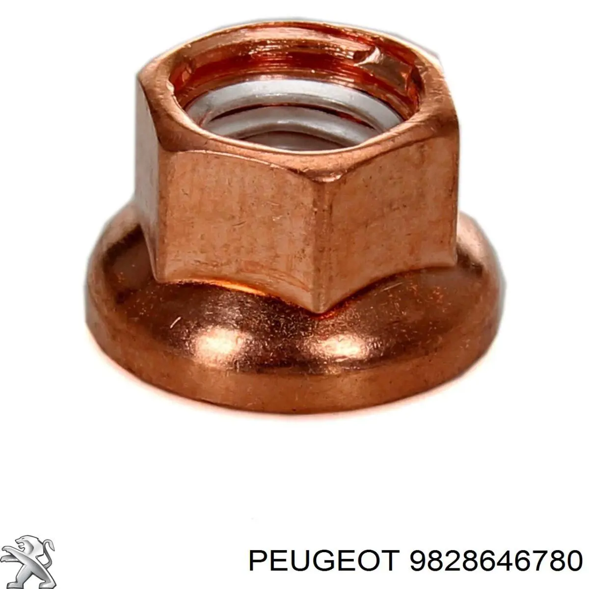 Купити 9828646780 Peugeot/Citroen Болт/гайка кріплення