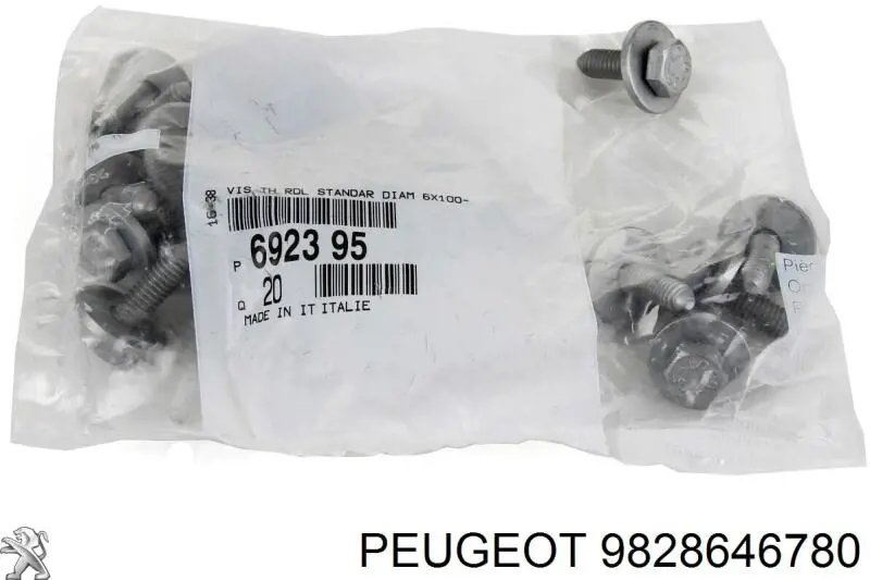 Болт/гайка кріплення 9828646780 Peugeot/Citroen