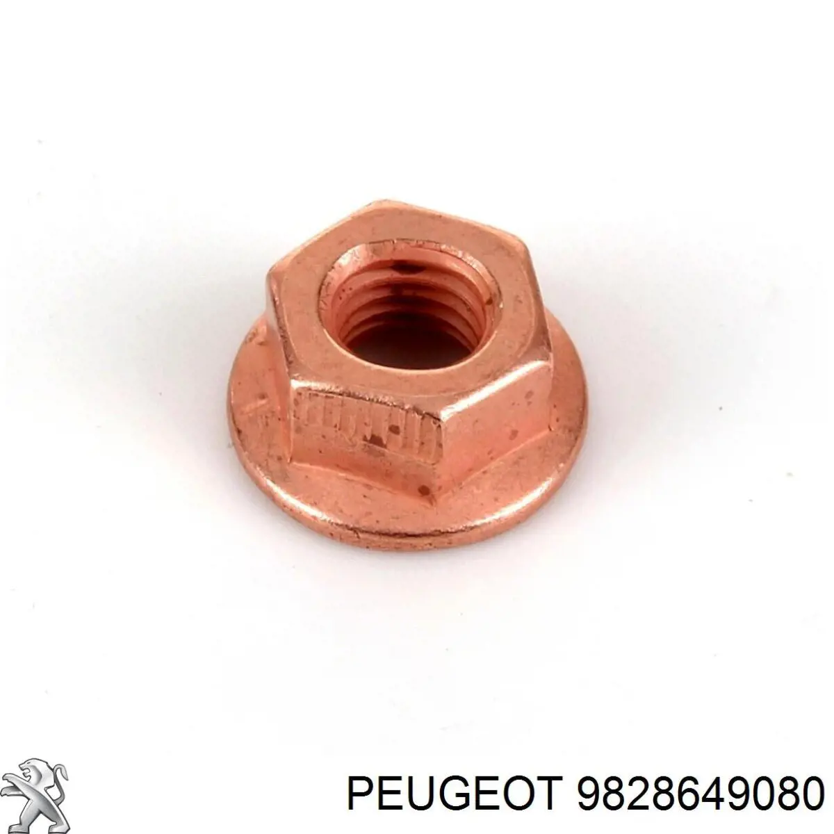 9828649080 Peugeot/Citroen 