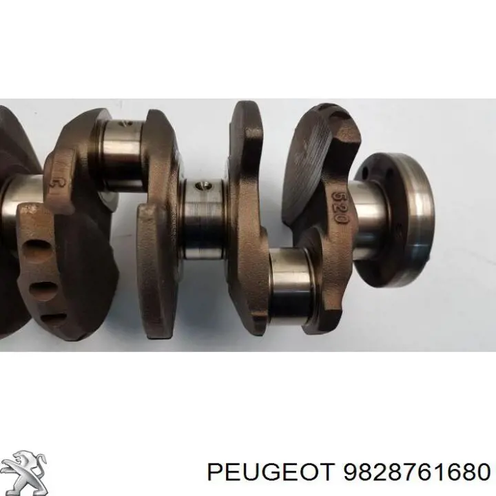 Купити 9828761680 Peugeot/Citroen 