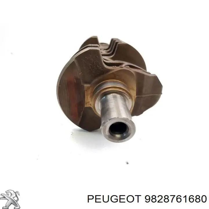 9828761680 Peugeot/Citroen 