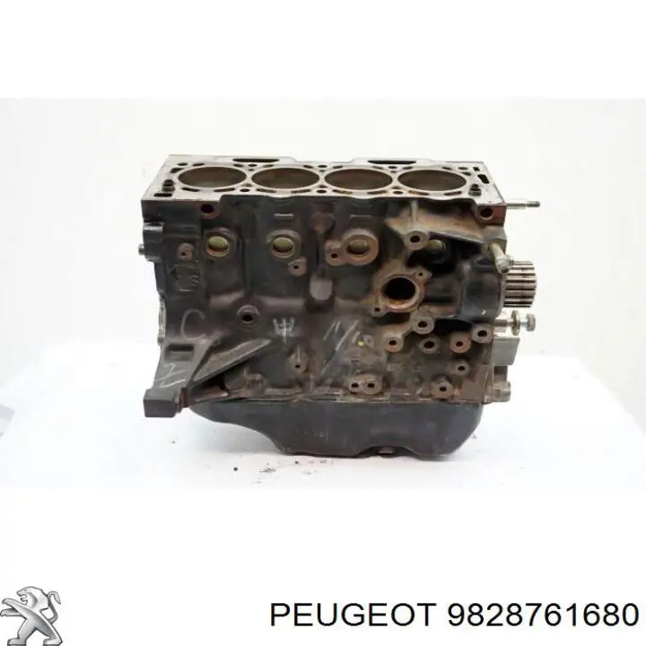  9828761680 Peugeot/Citroen