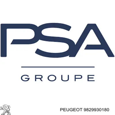 Свічки запалювання 9829930180 Peugeot/Citroen