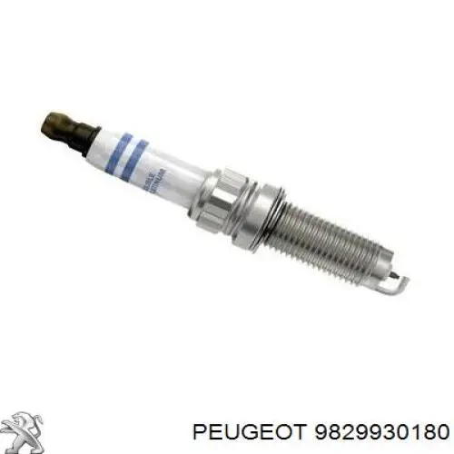 9829930180 Peugeot/Citroen Свіча запалювання