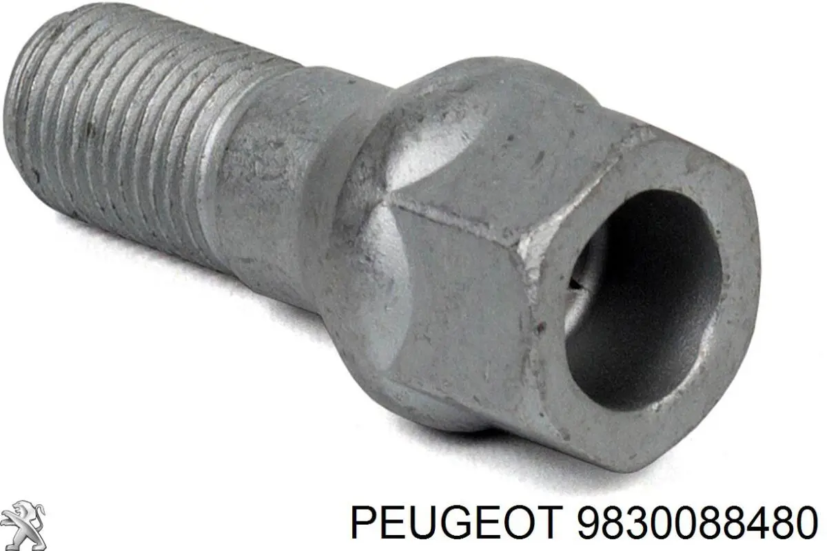  9830088480 Peugeot/Citroen