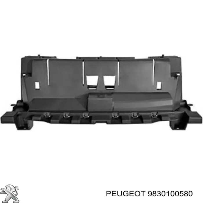 Шина бампера переднього Peugeot/Citroen 9830100580 ціна, від 99.60 USD