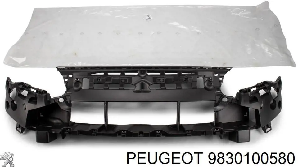  9847316280 Peugeot/Citroen