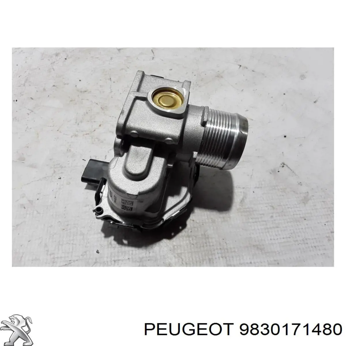 Блок дросельної заслінки Peugeot/Citroen 9830171480 ціна, від 63.34 USD