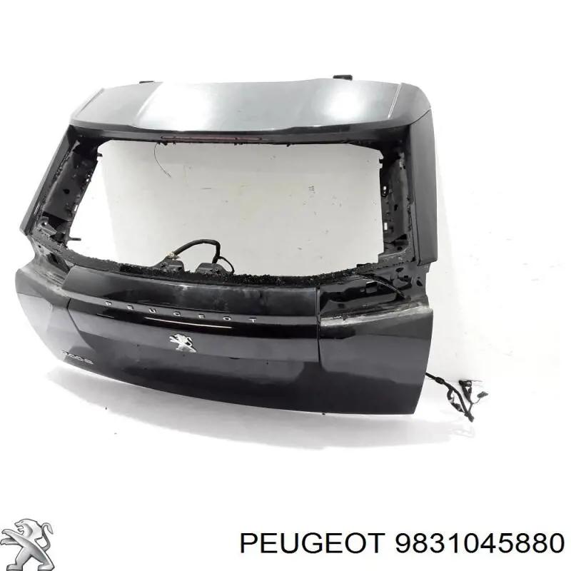 Купити 9831045880 Peugeot/Citroen Задня ляда