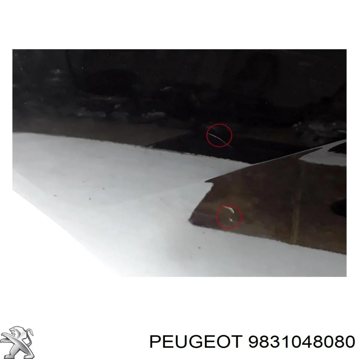 9831048080 Peugeot/Citroen Двері пасажирські задні праві