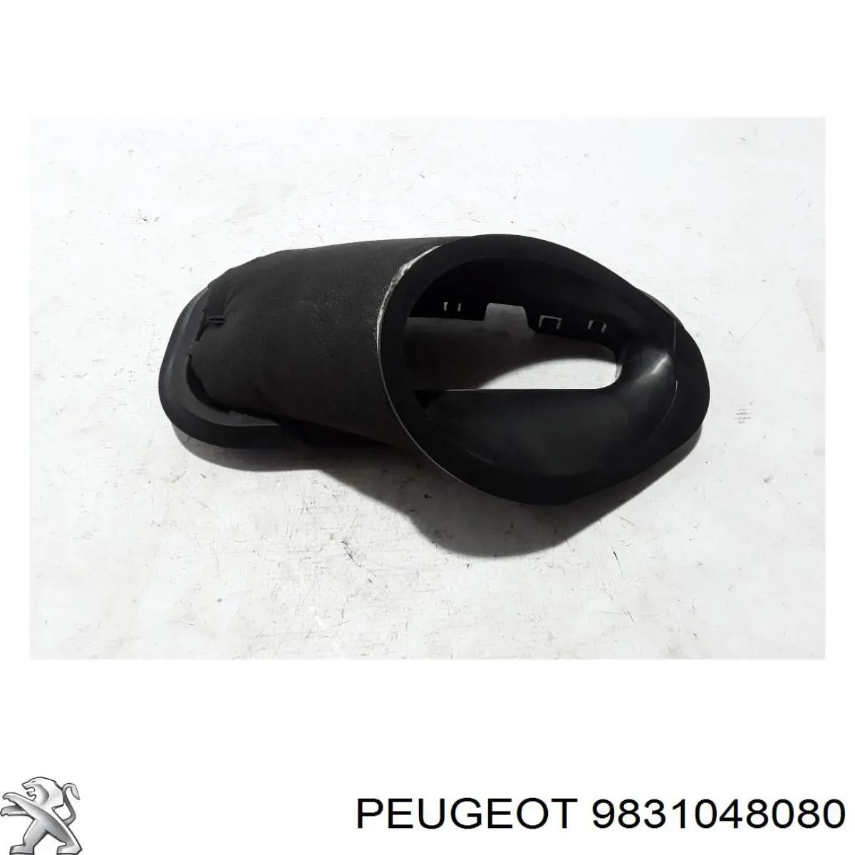 Двері задні, праві Peugeot/Citroen 9831048080 ціна, від 213.72 USD