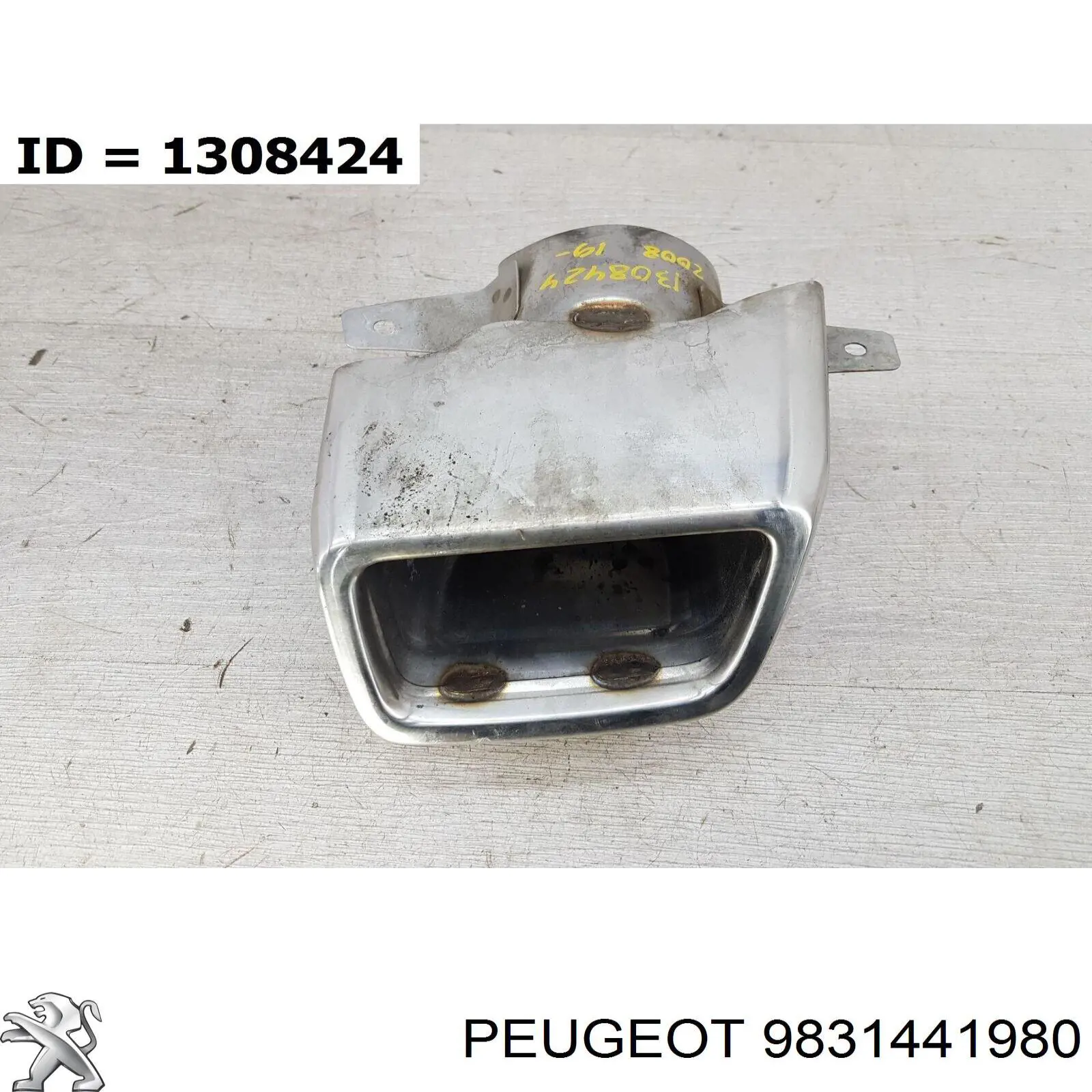 9831441980 Peugeot/Citroen Глушилка
