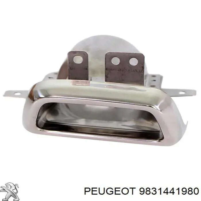 Насадка на глушник Peugeot/Citroen 9831441980 ціна, від 59.26 USD