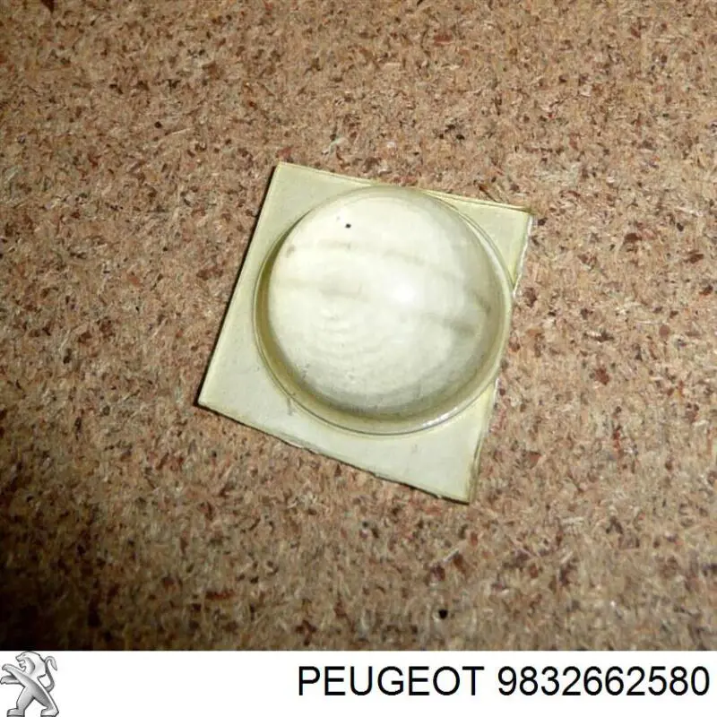  9832662580 Peugeot/Citroen