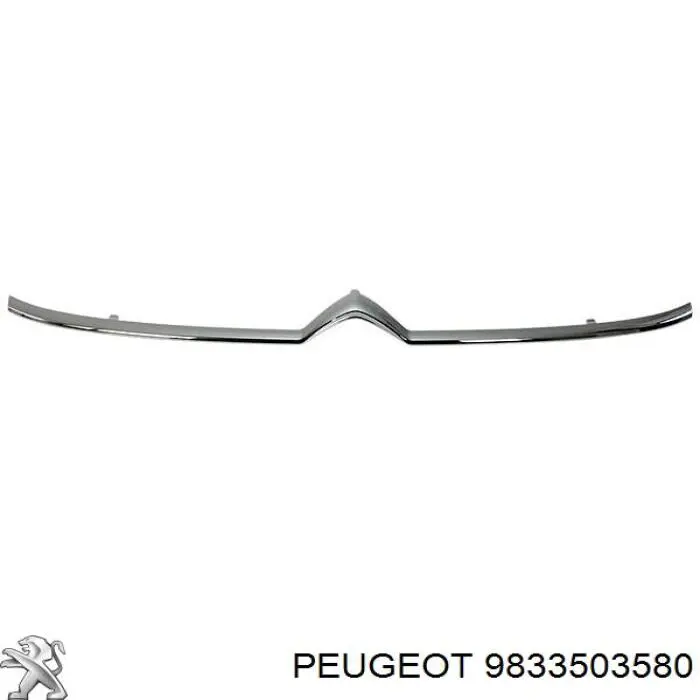  9833503580 Peugeot/Citroen