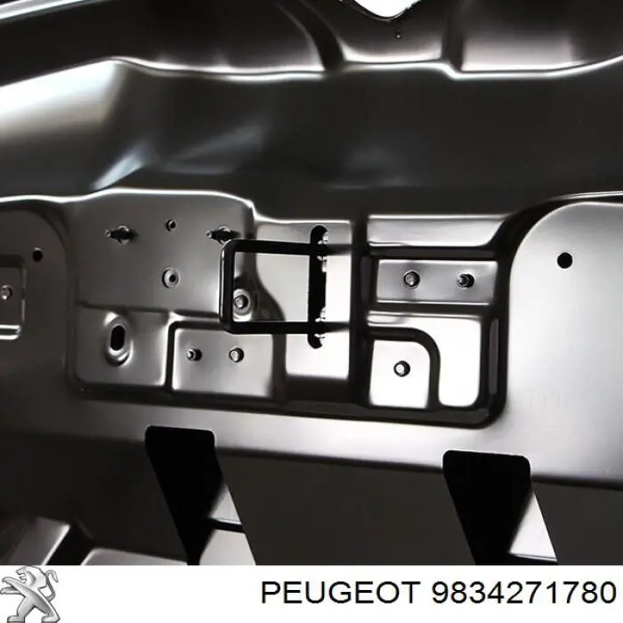 Капот Peugeot/Citroen 9834271780 ціна, від 788.05 USD