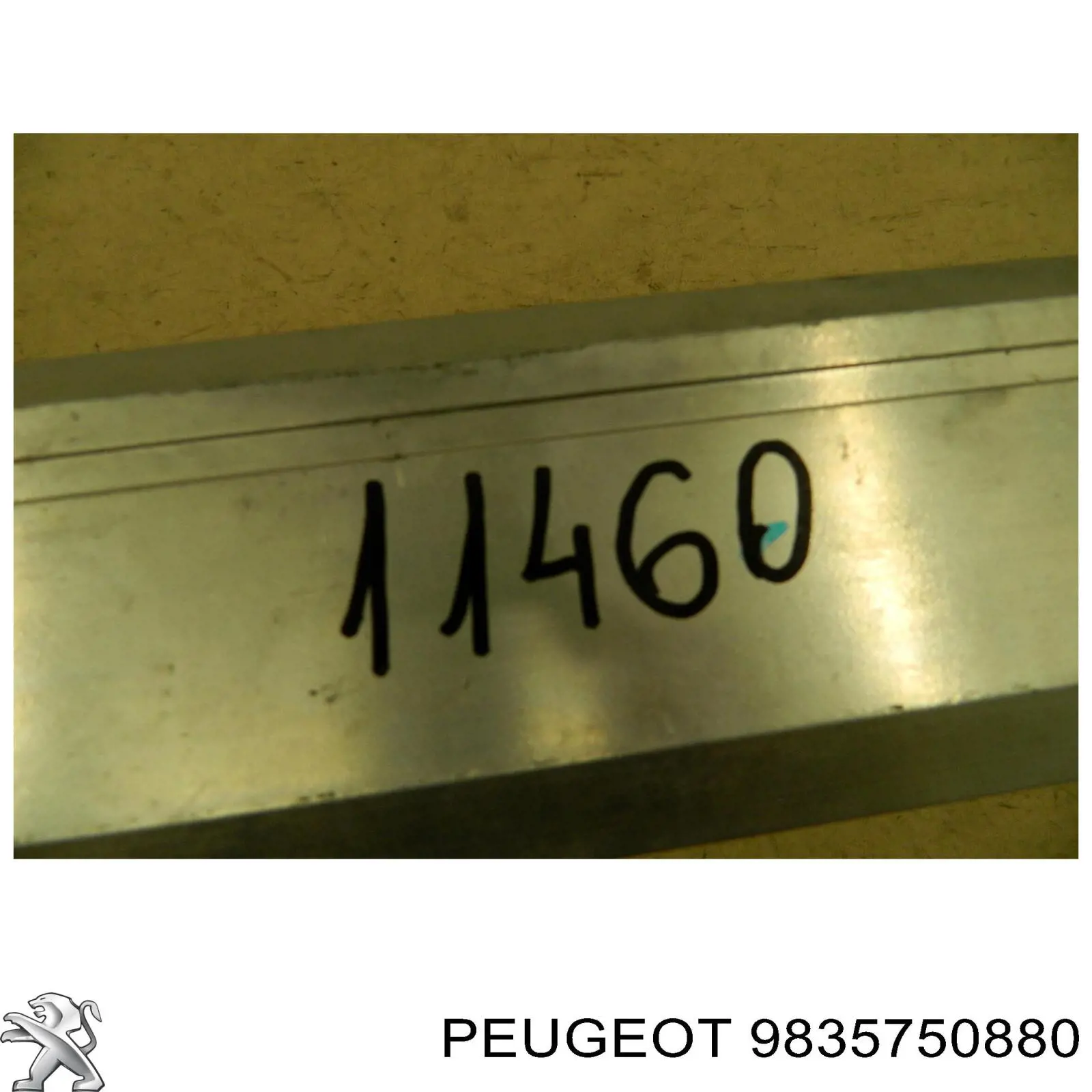 Підсилювач заднього бампера 9835750880 Peugeot/Citroen