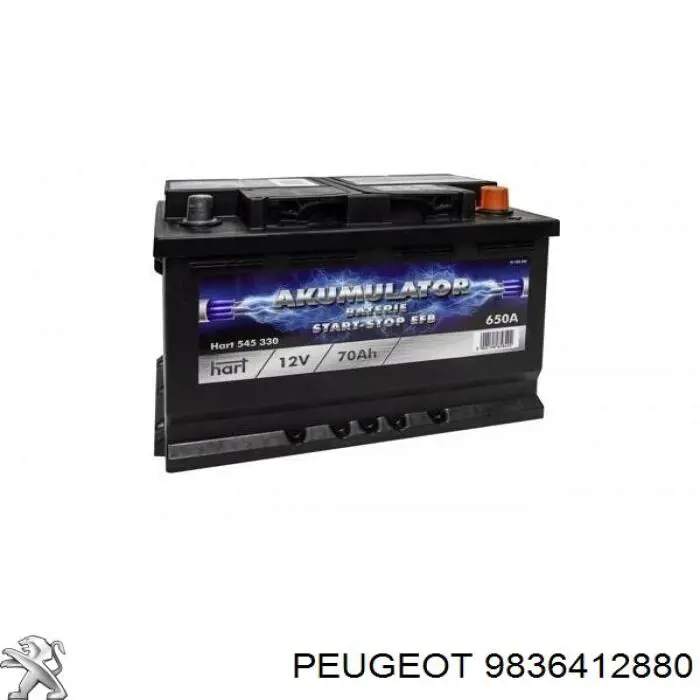 9836412880 Peugeot/Citroen Авто акумулятор