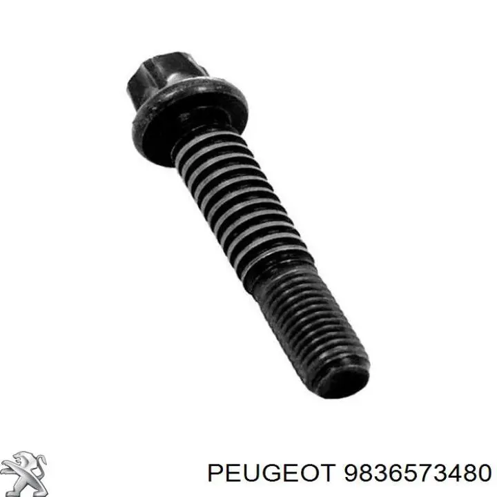 Купити 9836573480 Peugeot/Citroen 