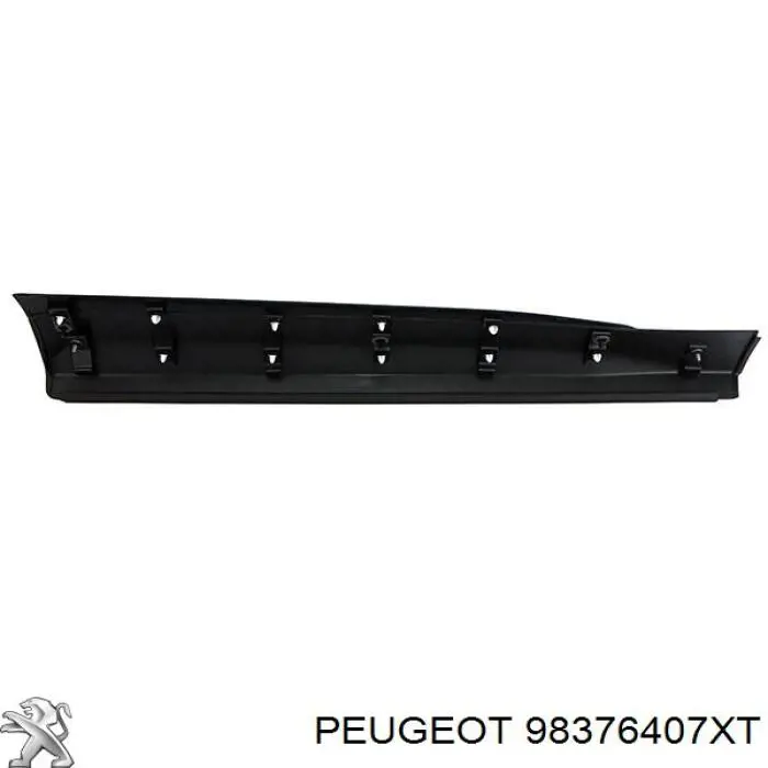 98376407XT Peugeot/Citroen Накладка передніх лівих дверей