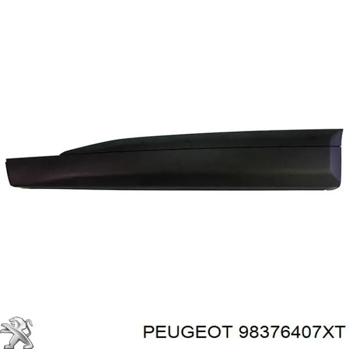98376407XT Peugeot/Citroen