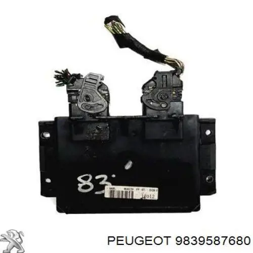  9839587680 Peugeot/Citroen