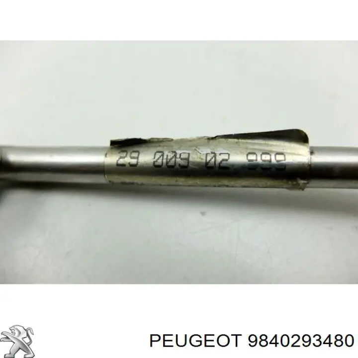  Peugeot/Citroen 9840293480 ціна, від 37.23 USD