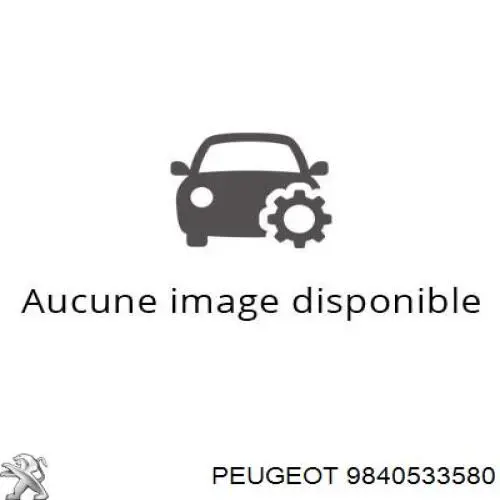 9800923580 Peugeot/Citroen турбіна