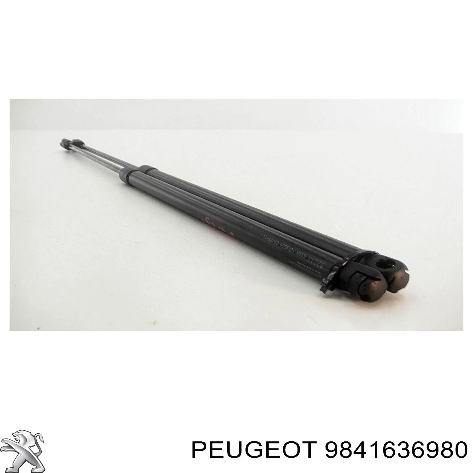 Купити 9841636980 Peugeot/Citroen 