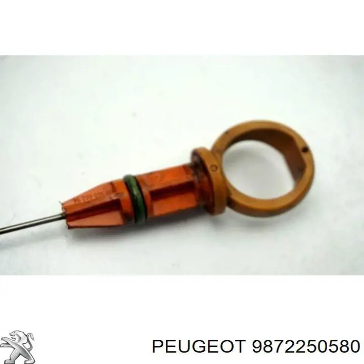 Купити 9872250580 Peugeot/Citroen 