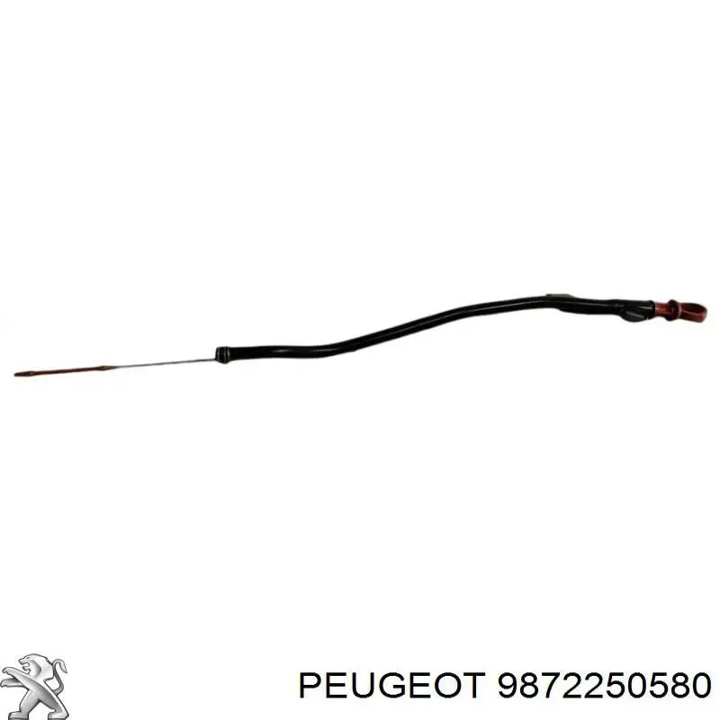 9872250580 Peugeot/Citroen 