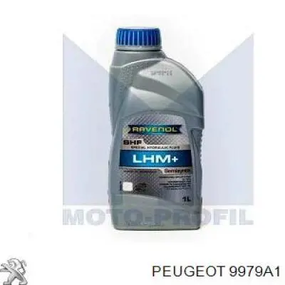 9979A1 Peugeot/Citroen Рідина ГПК