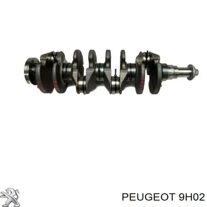 Блок циліндрів двигуна 9H02 Peugeot/Citroen