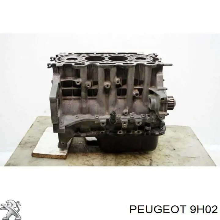 9H02 Peugeot/Citroen Блок циліндрів двигуна