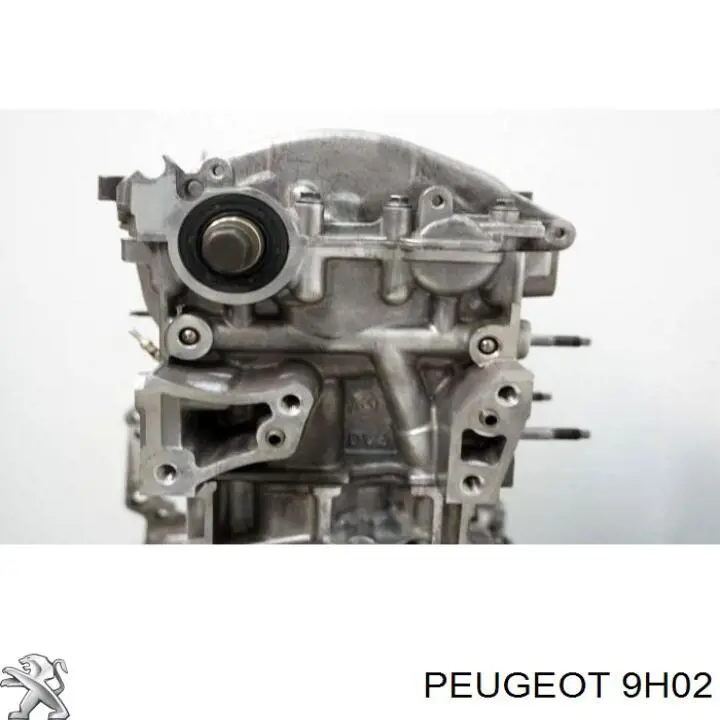 Купити 9H02 Peugeot/Citroen Блок двигуна