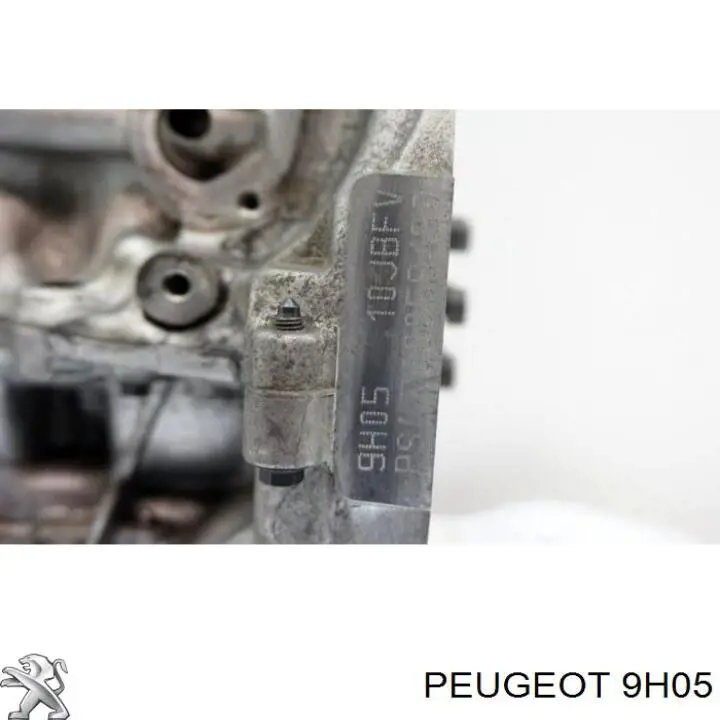 Купити 9HC Peugeot/Citroen Двигун